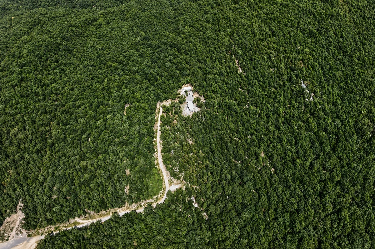Top-down aerial of the winding road through dense Moonshine Mountain forest